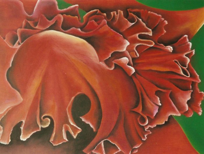 Orquidea arlequín, 2004. Acrílico sobre lienzo. 70 x 90 cm.
