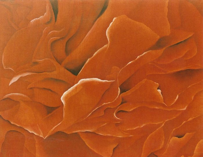Peonia china, 2004. Acrílico sobre lienzo. 70 x 90 cm.