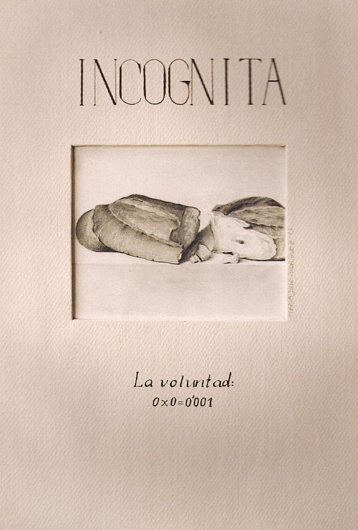 Incógnita II, 1992. Carboncillo sobre papel. 50 x30 cm